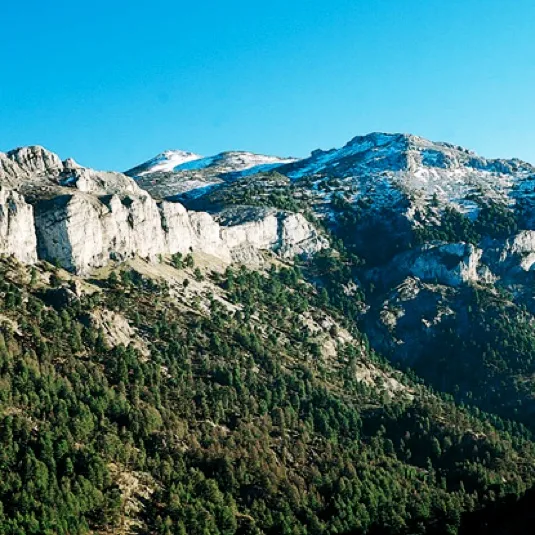 paisaje-1