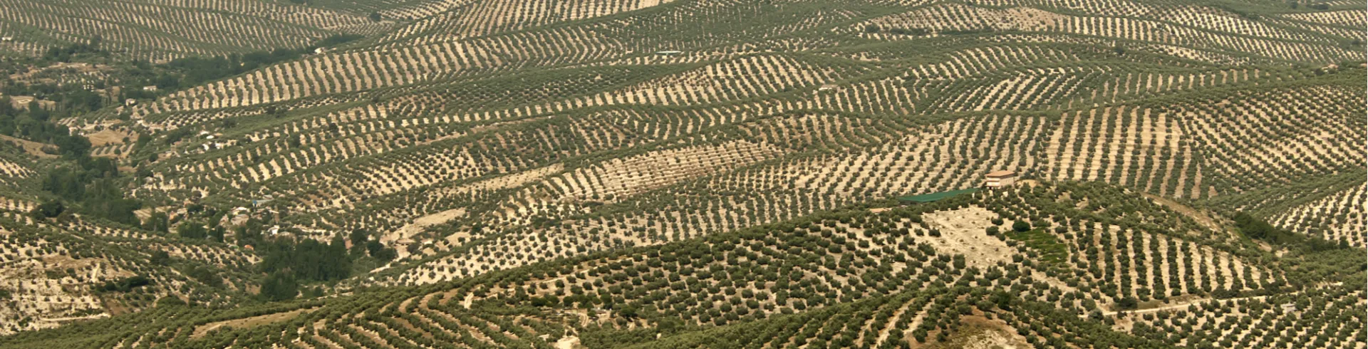 La Loma y Las Villas