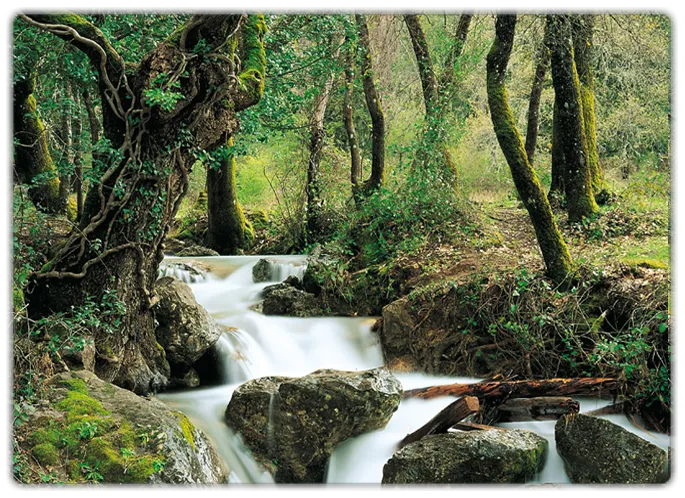 rioenhuertavieja