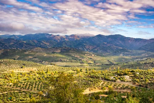 paisaje-3