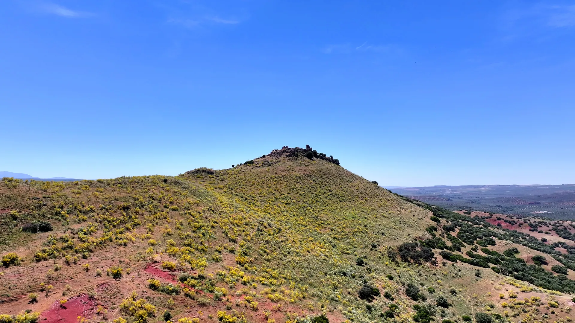 CyB_Vilches_05