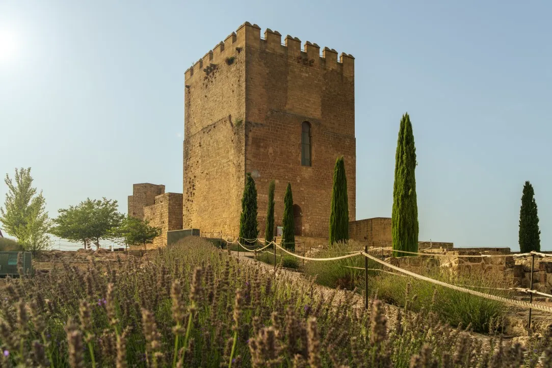 Fortaleza de la Mota