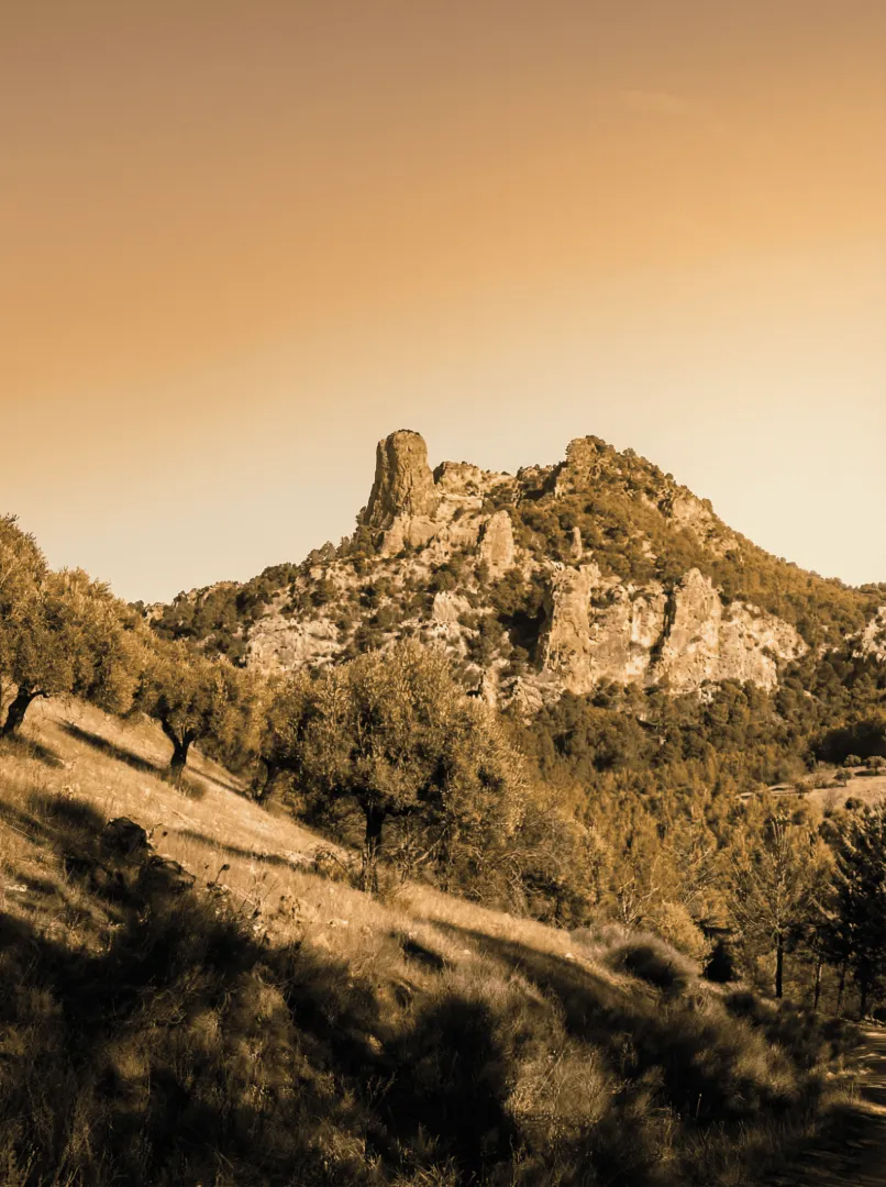 Piedra del Palo