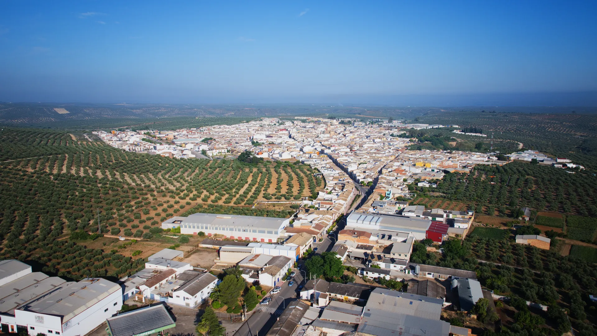 arjonillla