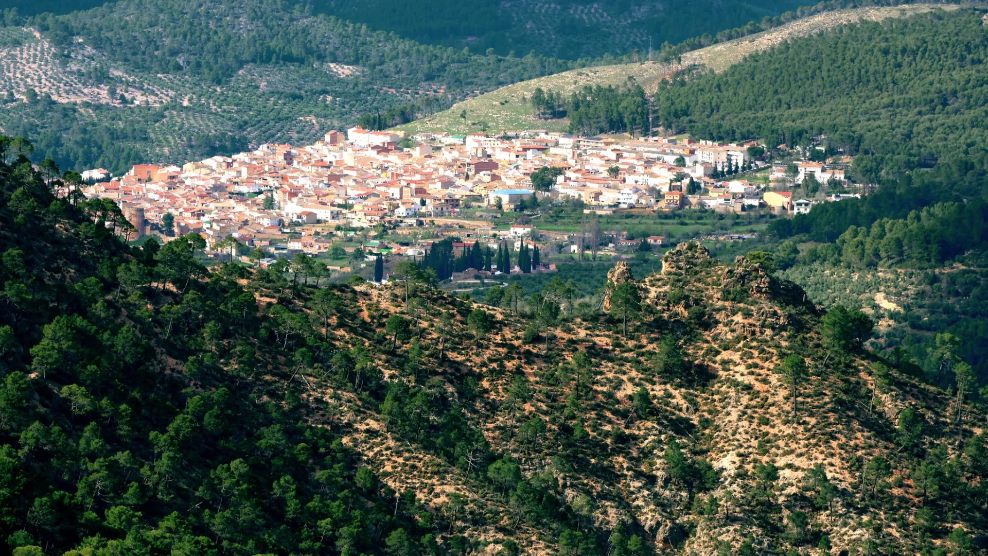 Siles