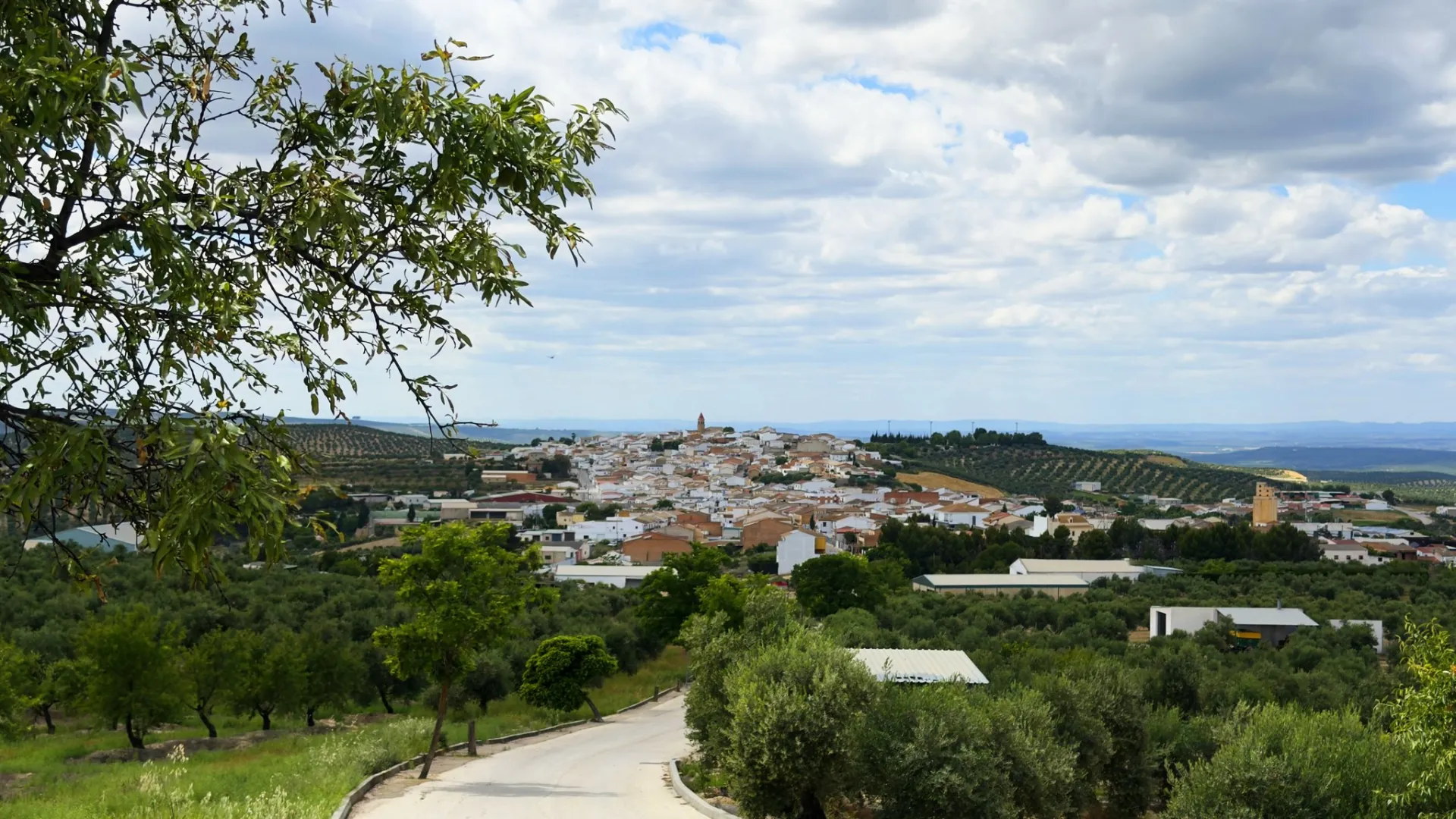 Lahiguera