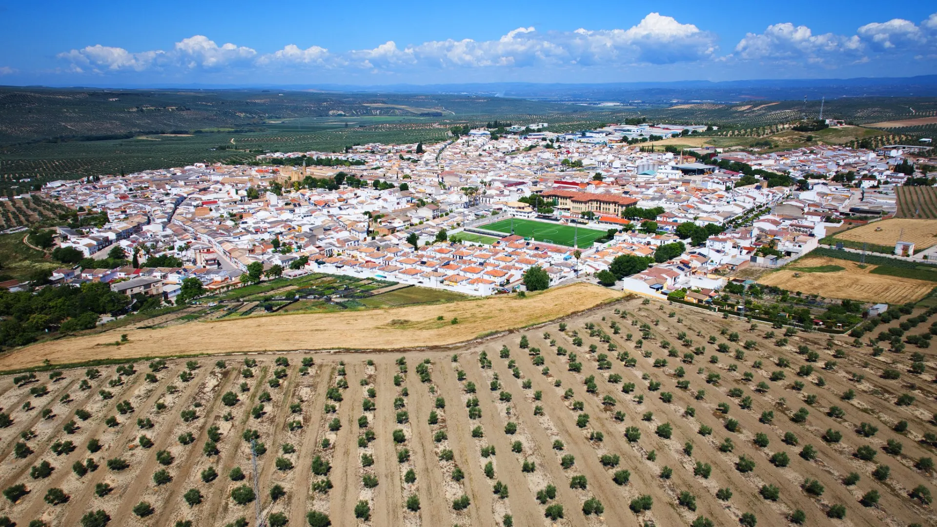 Lopera