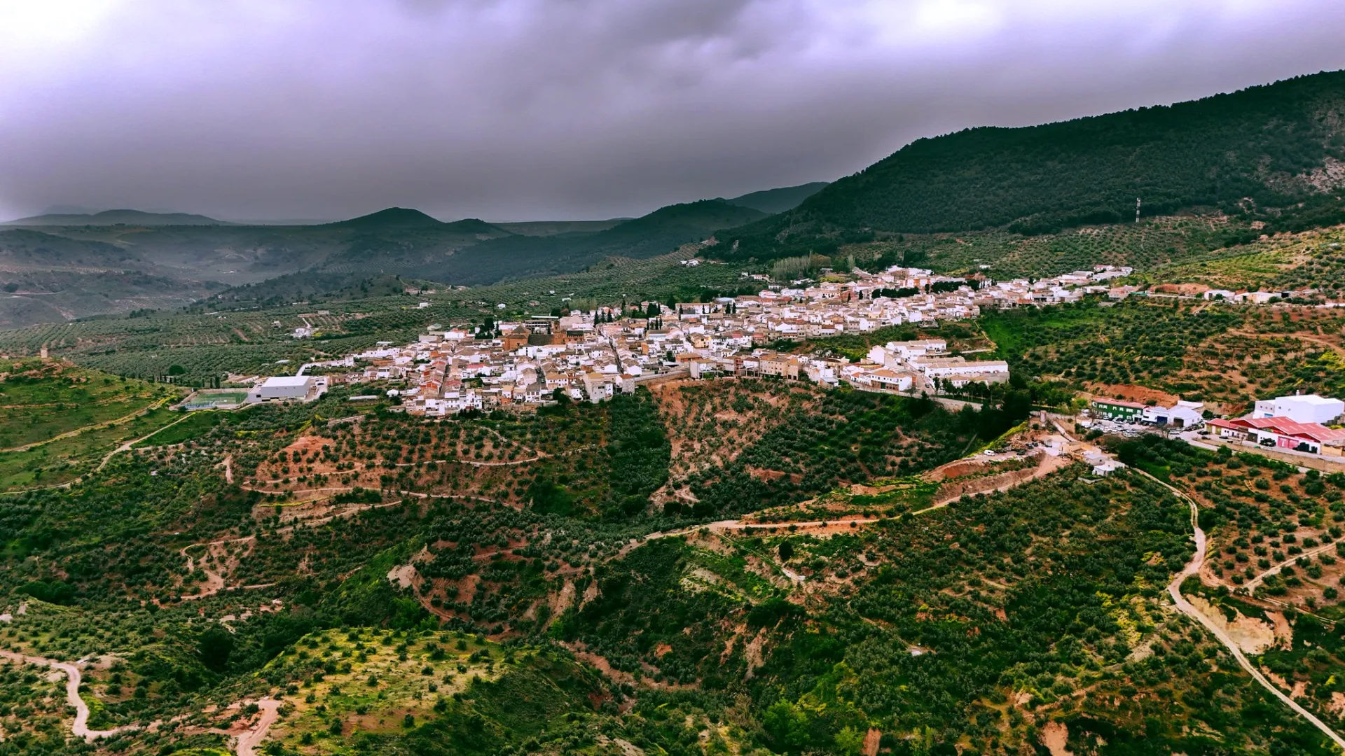 cabra del santo cristo