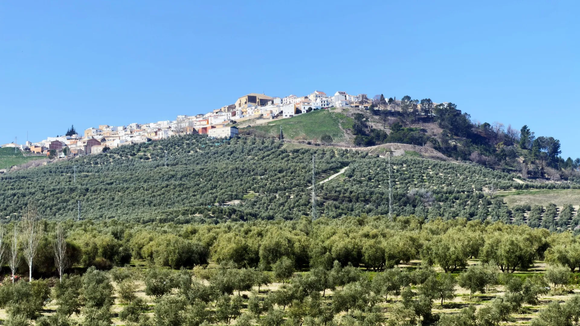Iznatoraf