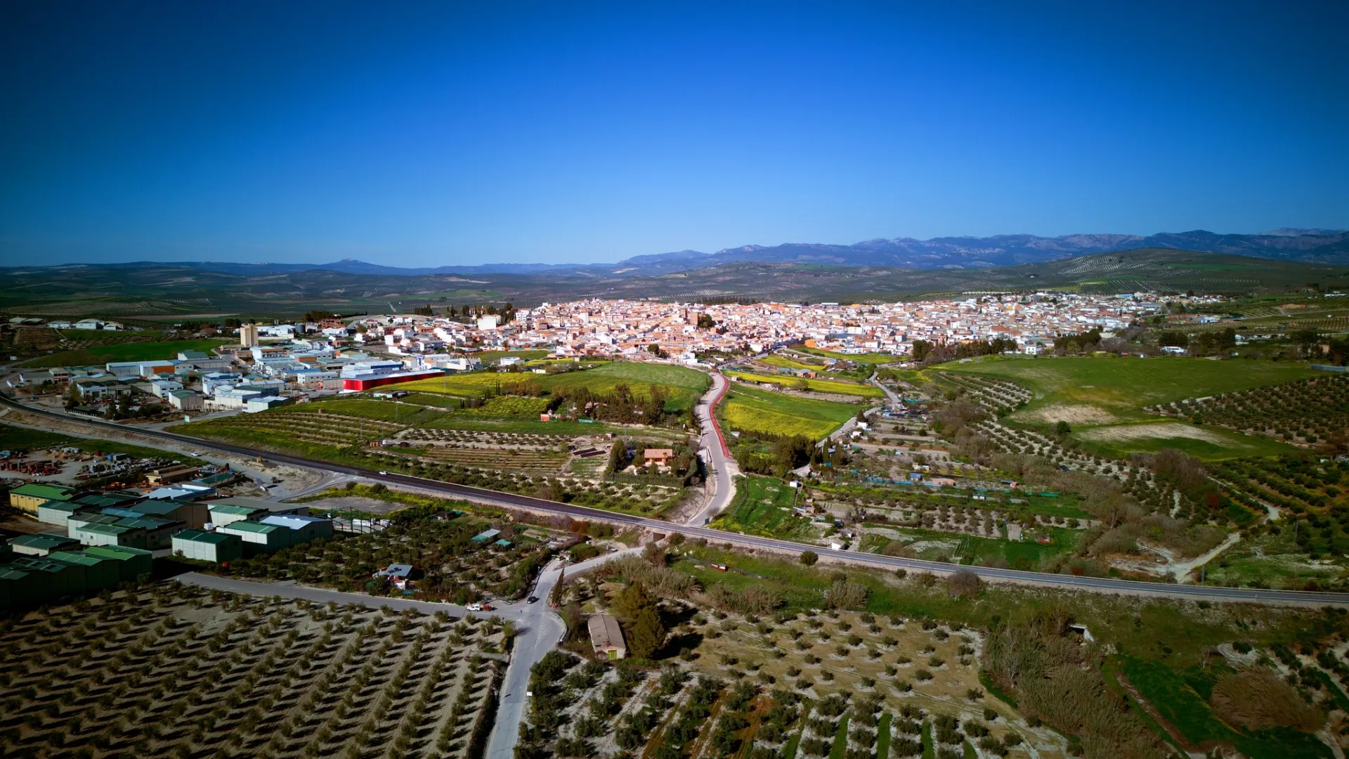 peal de becerro
