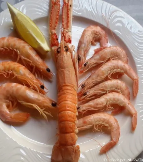hotel-restaurante-ciudad-martos-2.png