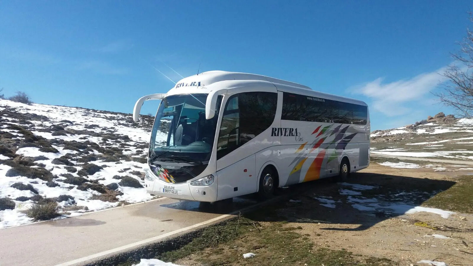 bus2.jpg