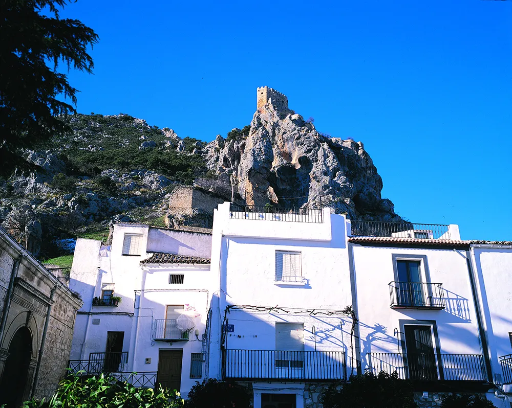 mon288-jpg