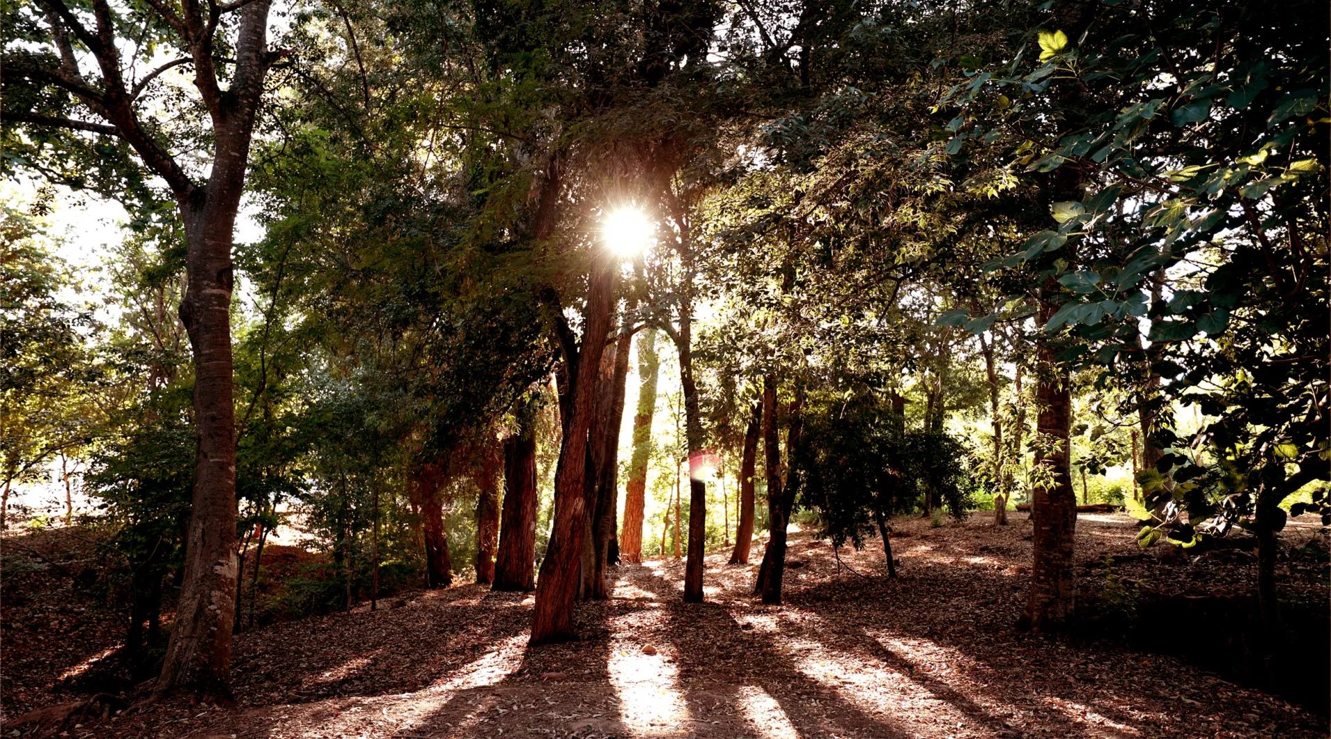jardines-balneario-2-jpg