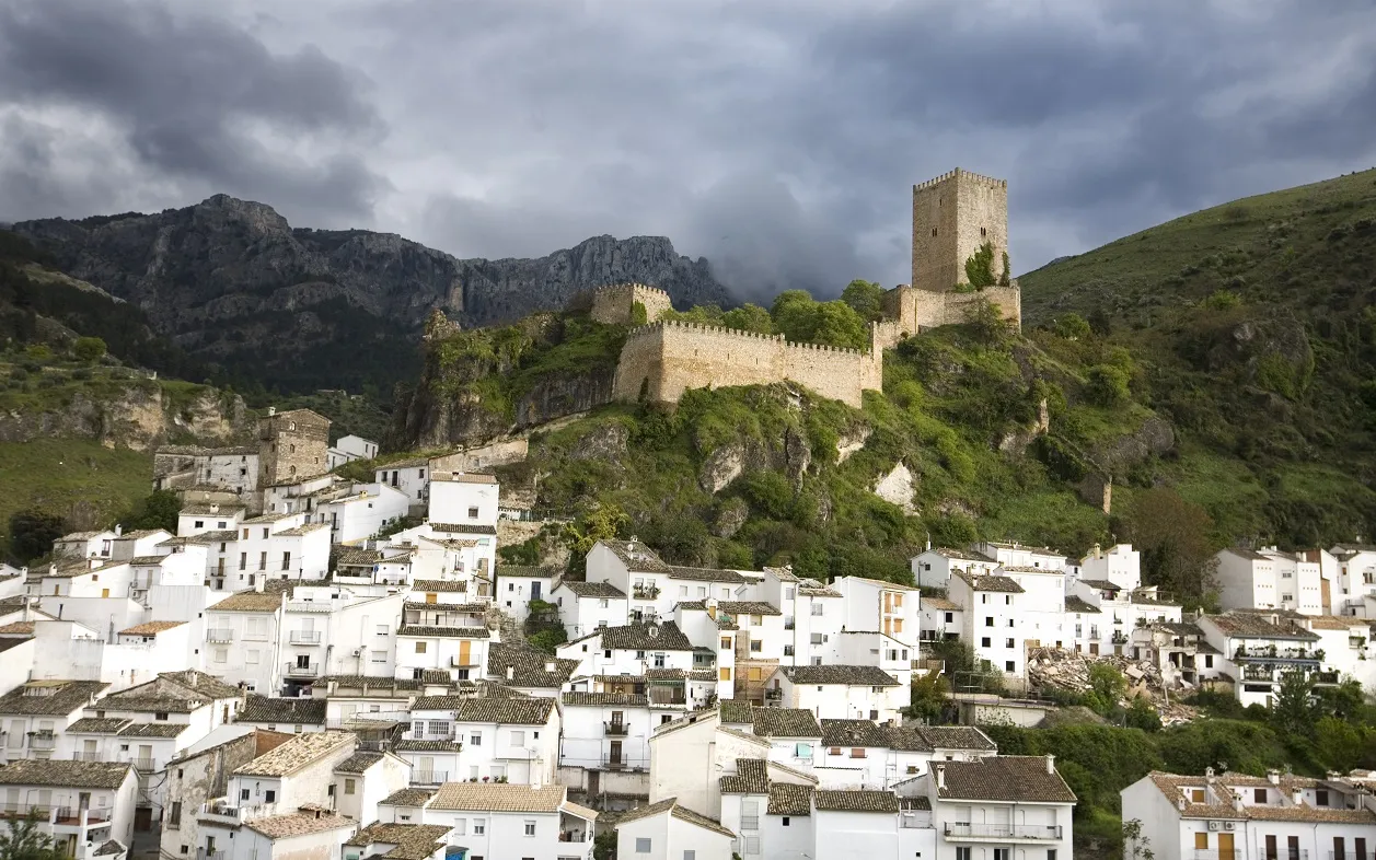 _Cazorla.jpg