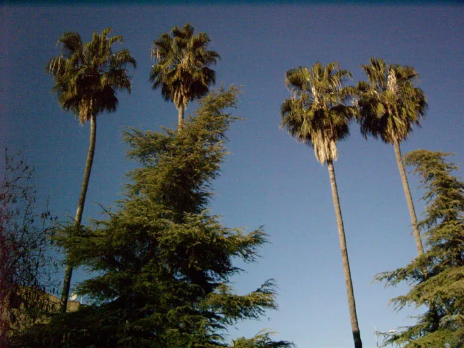 parque3.jpg