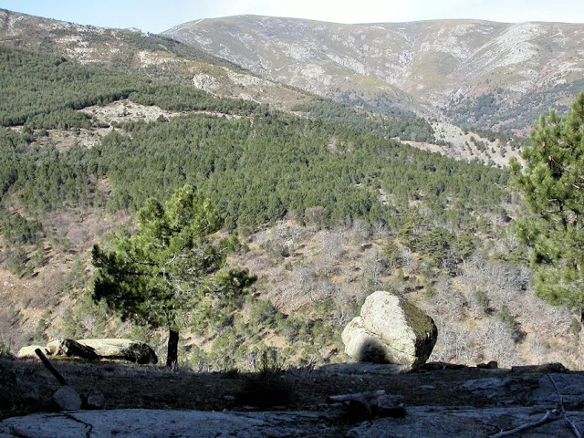 DSCN3318.jpg