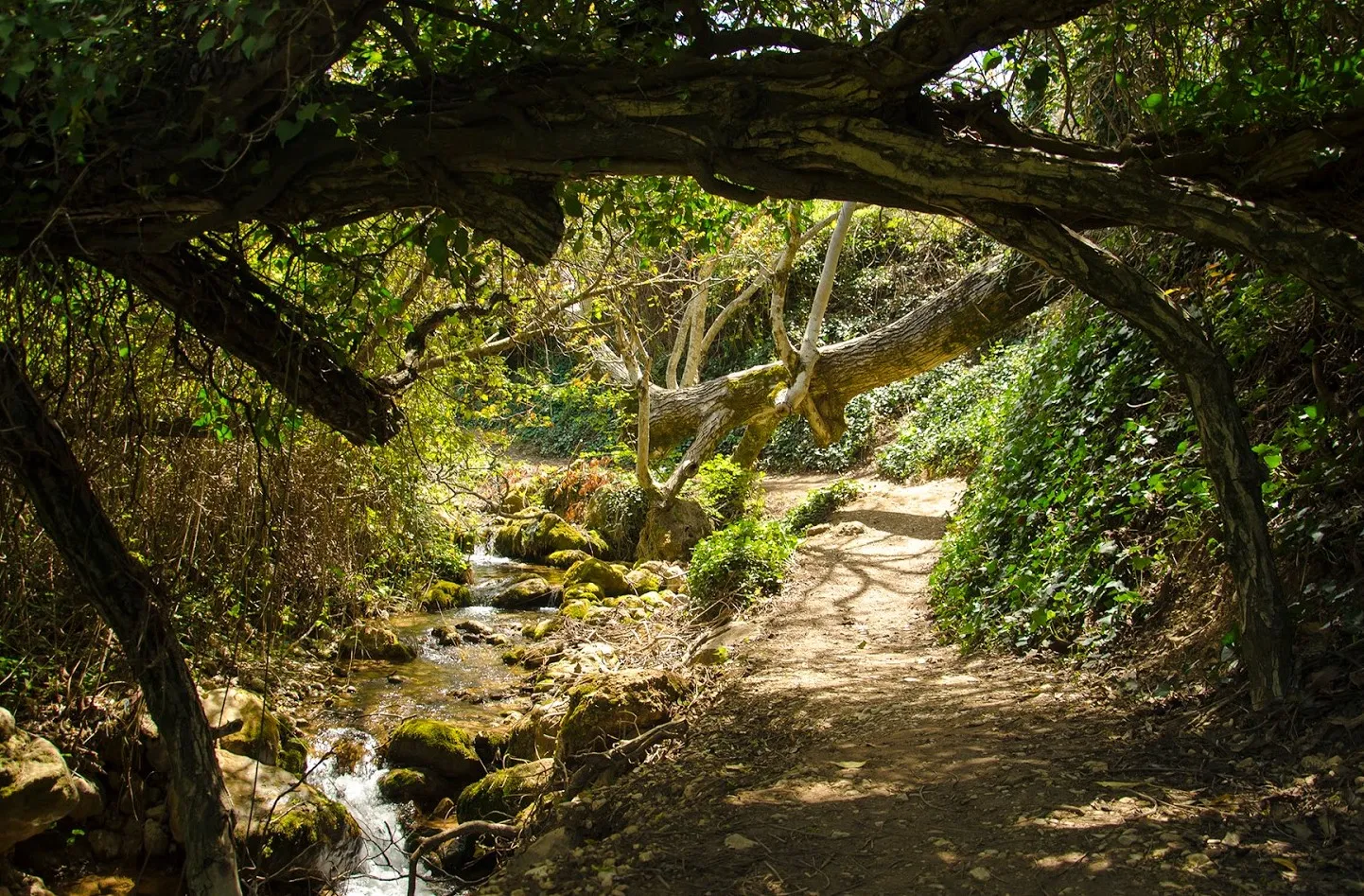 Ruta%20de%20la%20Sierra%20%28De%20Valdepe%C3%B1as%20de%20Ja%C3%A9n%20a%20Frailes%293.jpg