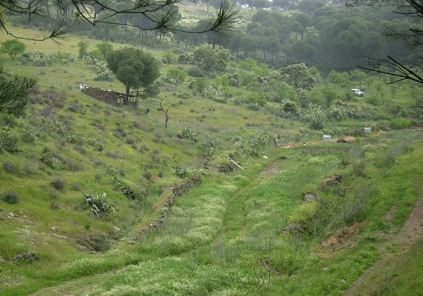 Sendero%20del%20Bronce.jpg