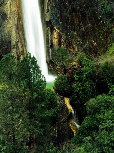 575_image_4.jpg