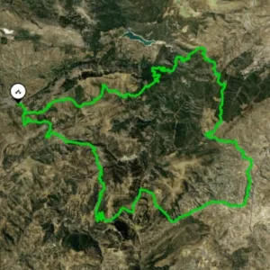 ruta