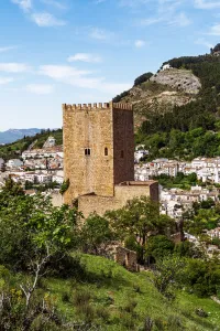 Castillo de la Yedra