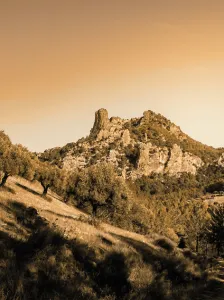 Piedra del Palo