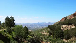 Huesa