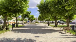 Marmolejo