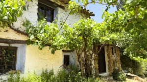 Santiago Pontones