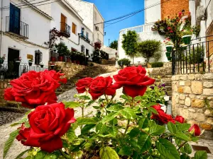 peal de becerro