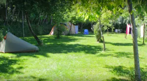 camping2.png