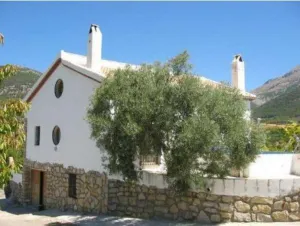 CR46.jpg