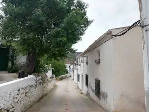 almendro.jpg