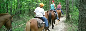 foto_caballos.jpg