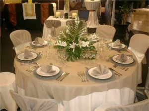 t.jpg