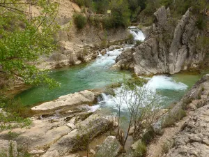 15647653Master.jpg