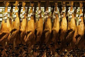 jamon-2027499__340.jpg