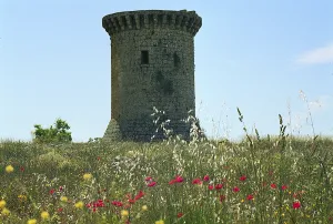 mon101-jpg