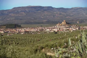 castillo-desde-sierra-ahillos-jpg
