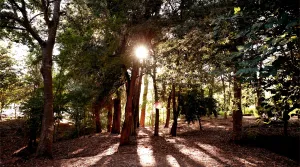jardines-balneario-2-jpg