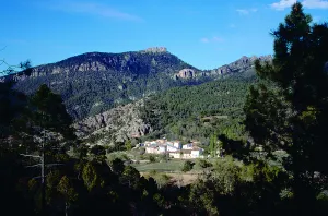 67588f5f-1456-f1f3-2a99-9ff944435ff8?t=1603729570170