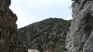 falla-tiscar.jpg