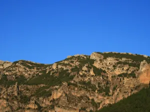 18.jpg