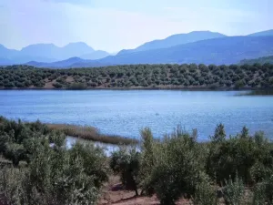 laguna.JPG