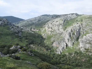 parque-natutal.jpeg