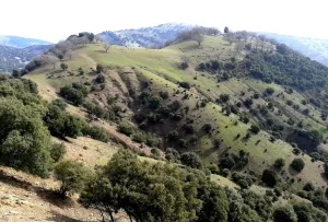 Ruta%20de%20la%20Sierra%20%28De%20Valdepe%C3%B1as%20de%20Ja%C3%A9n%20a%20Frailes%29.jpg