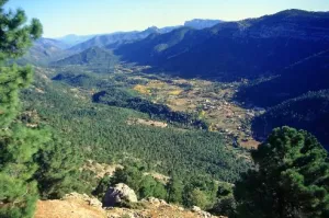 Sierra-Cazorla.jpg