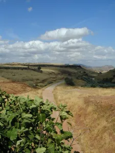 Vadollano05.jpg