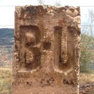 DGJK5601.jpg